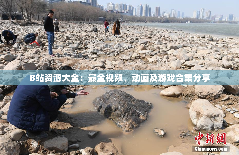 B站资源大全：最全视频、动画及游戏合集分享