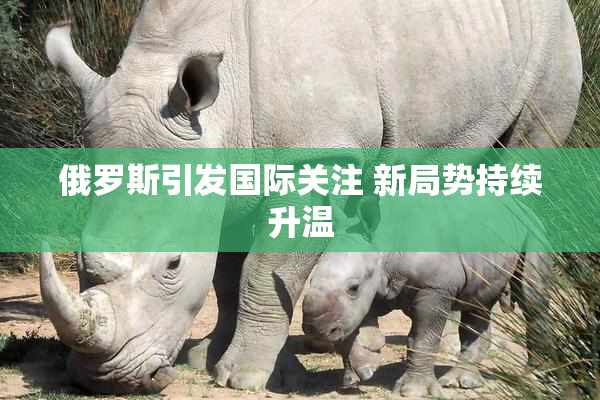 俄罗斯引发国际关注 新局势持续升温