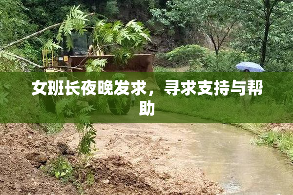 女班长夜晚发求，寻求支持与帮助
