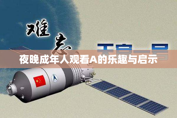 夜晚成年人观看A的乐趣与启示