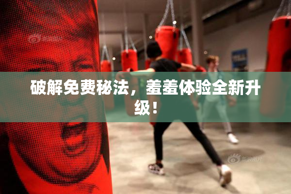 破解免费秘法，羞羞体验全新升级！