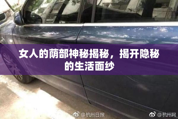 女人的荫部神秘揭秘，揭开隐秘的生活面纱