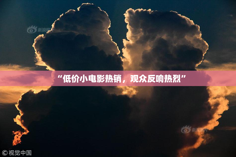 “低价小电影热销，观众反响热烈”
