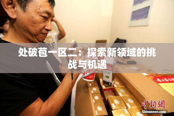 处破苞一区二：探索新领域的挑战与机遇