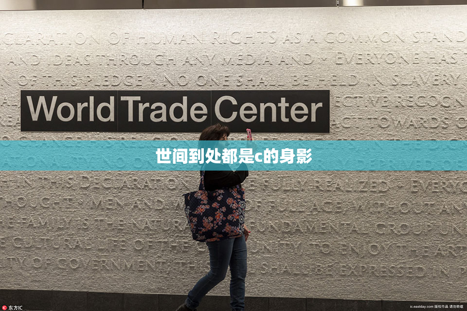 世间到处都是c的身影