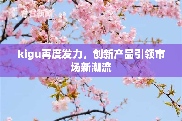 kigu再度发力，创新产品引领市场新潮流