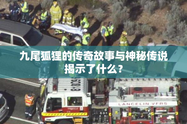 九尾狐狸的传奇故事与神秘传说揭示了什么？