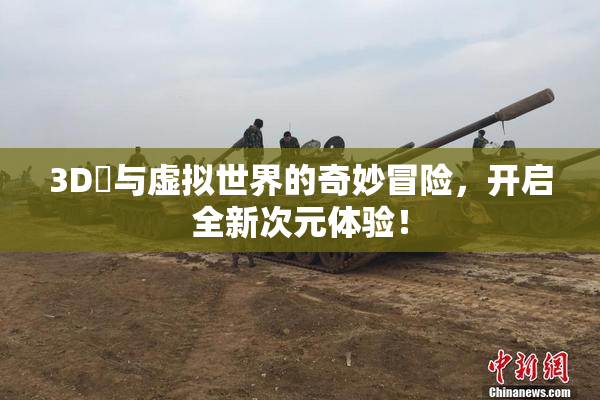 3D姉与虚拟世界的奇妙冒险，开启全新次元体验！
