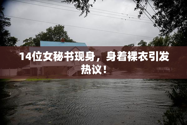 14位女秘书现身，身着裸衣引发热议！