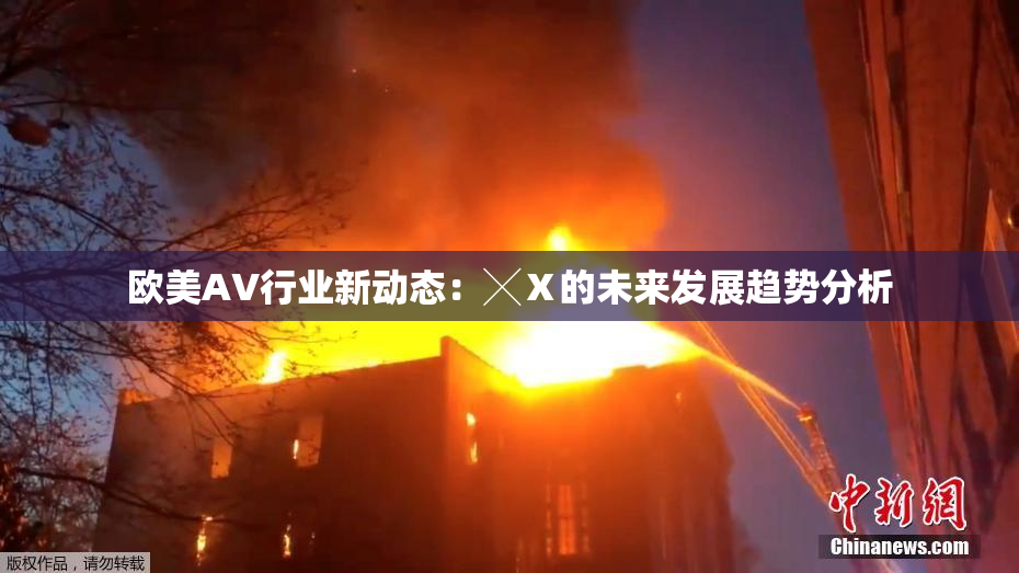 欧美AV行业新动态：╳Ⅹ的未来发展趋势分析