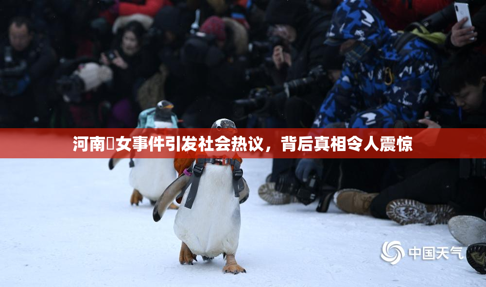 河南婬女事件引发社会热议，背后真相令人震惊