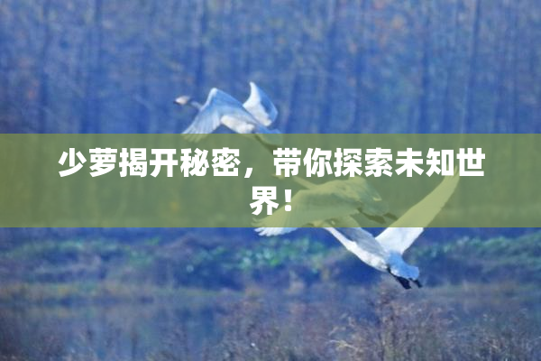 少萝揭开秘密，带你探索未知世界！