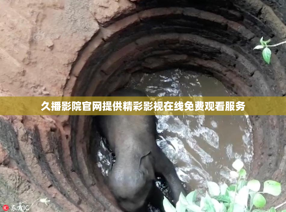久播影院官网提供精彩影视在线免费观看服务