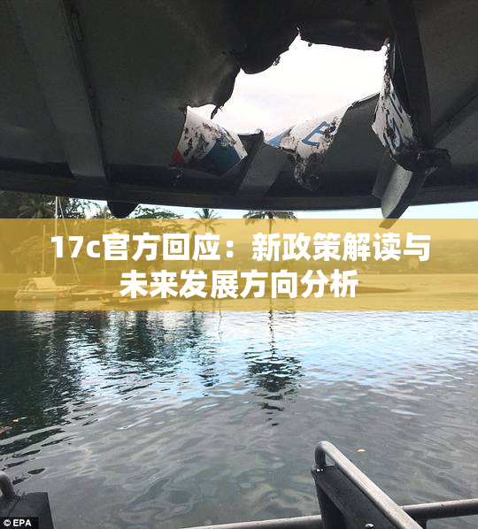 17c官方回应：新政策解读与未来发展方向分析