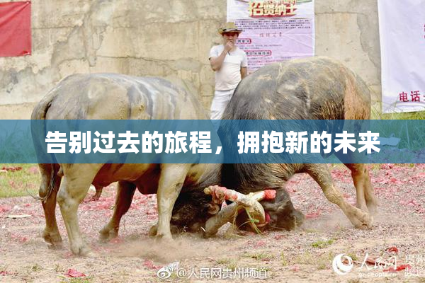 告别过去的旅程，拥抱新的未来