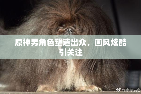 原神男角色塑造出众，画风炫酷引关注