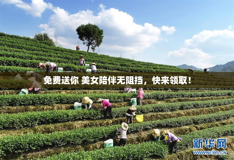 免费送你 美女陪伴无阻挡，快来领取！