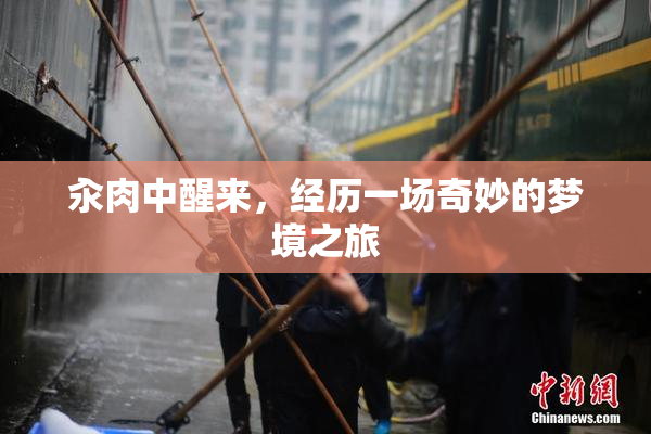 汆肉中醒来，经历一场奇妙的梦境之旅