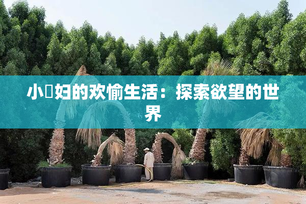 小婬妇的欢愉生活：探索欲望的世界
