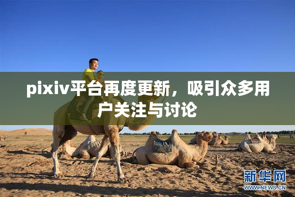 pixiv平台再度更新，吸引众多用户关注与讨论