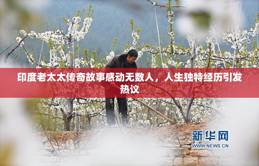 印度老太太传奇故事感动无数人，人生独特经历引发热议