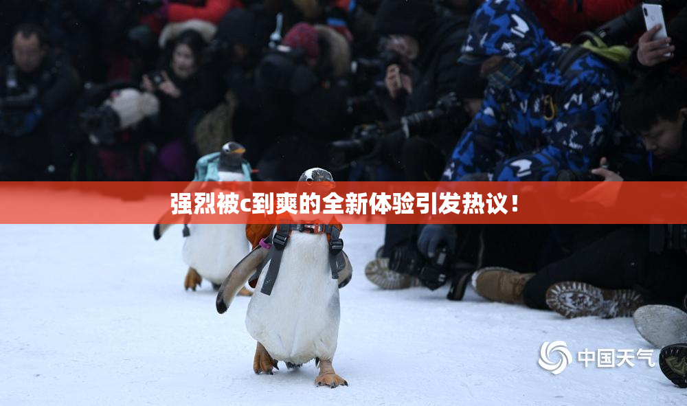 强烈被c到爽的全新体验引发热议！
