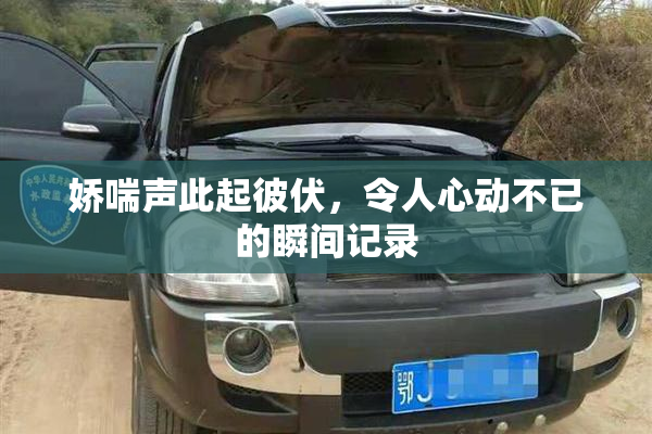 娇喘声此起彼伏，令人心动不已的瞬间记录