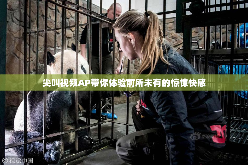 尖叫视频AP带你体验前所未有的惊悚快感