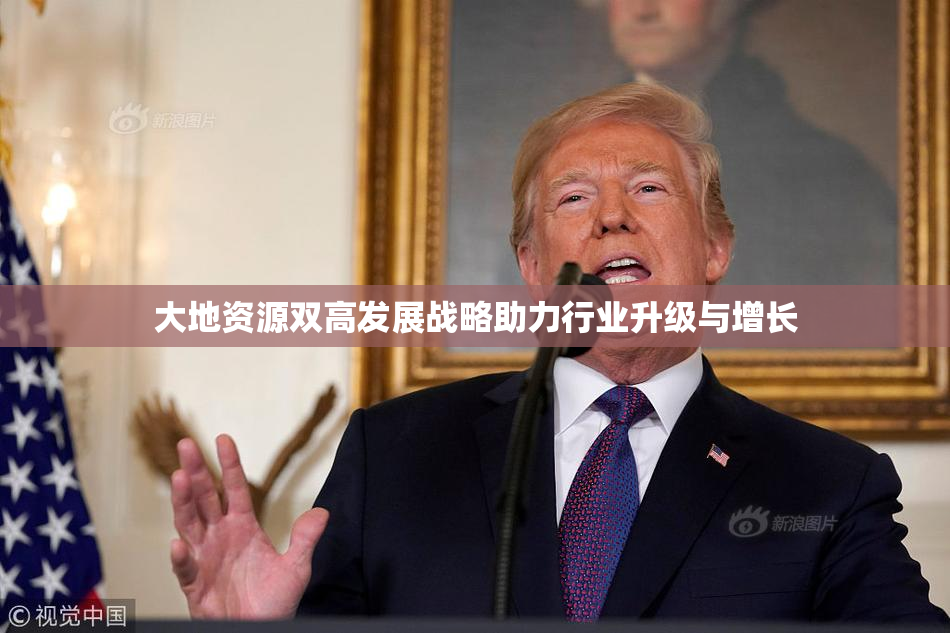 大地资源双高发展战略助力行业升级与增长