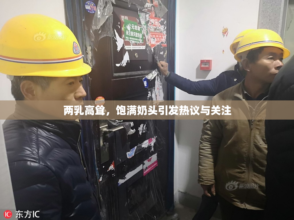 两乳高耸，饱满奶头引发热议与关注