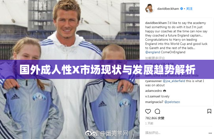 国外成人性X市场现状与发展趋势解析