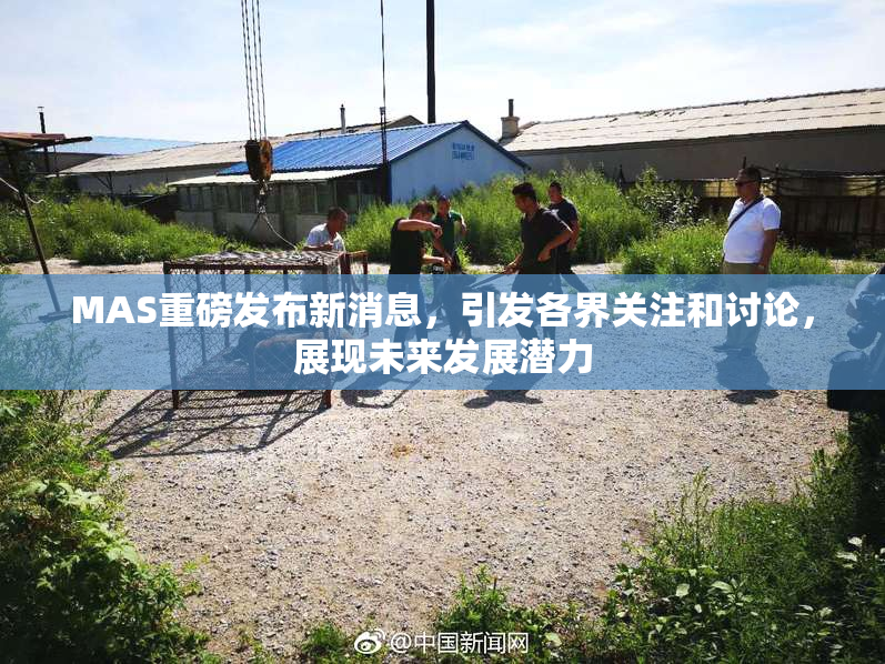 MAS重磅发布新消息，引发各界关注和讨论，展现未来发展潜力