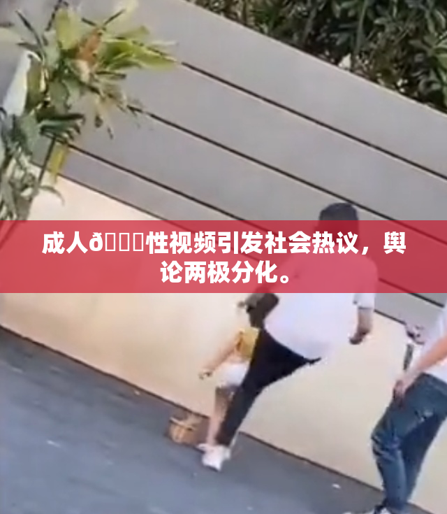 成人🔞性视频引发社会热议，舆论两极分化。