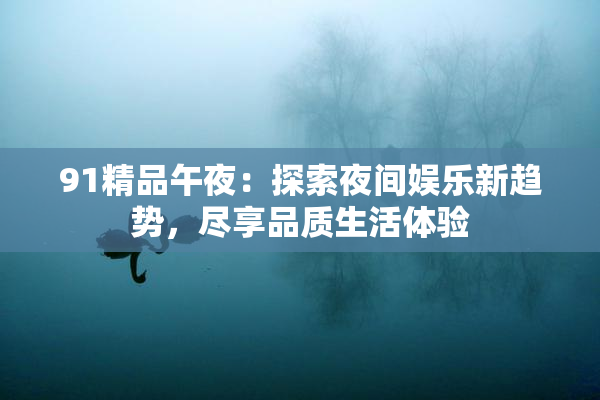 91精品午夜：探索夜间娱乐新趋势，尽享品质生活体验