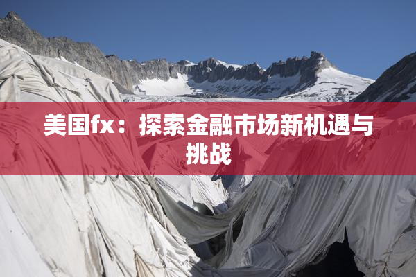 美国fx：探索金融市场新机遇与挑战