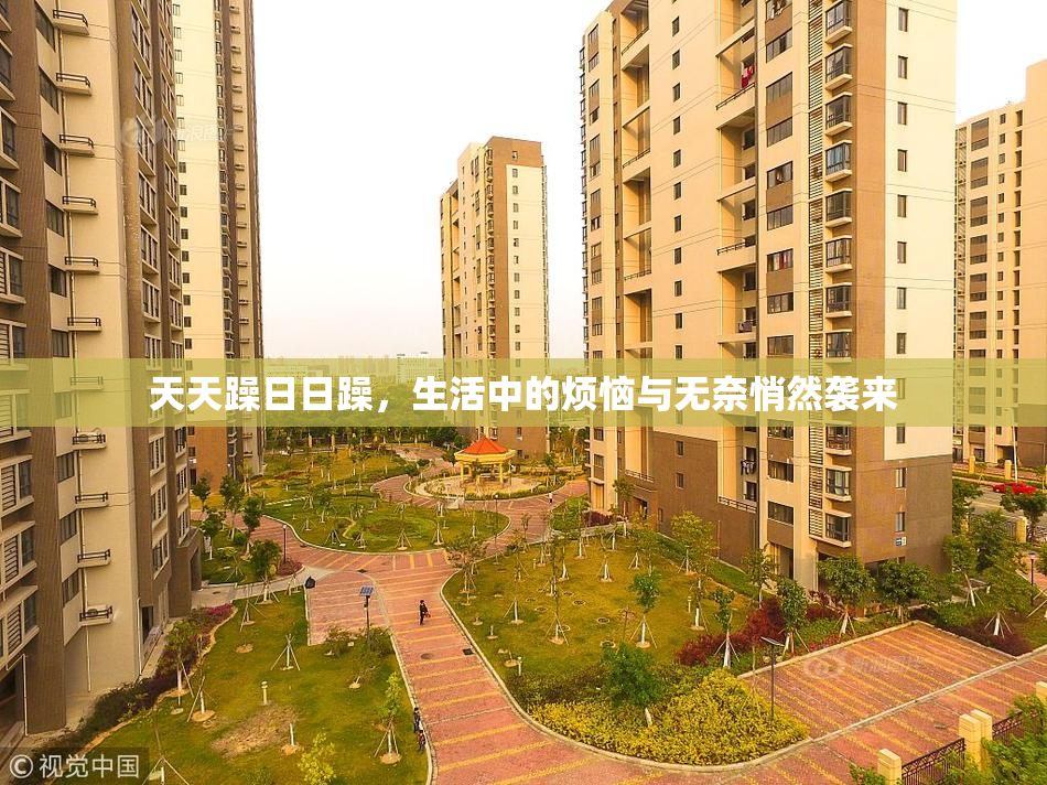 天天躁日日躁，生活中的烦恼与无奈悄然袭来