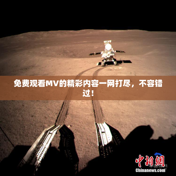 免费观看MV的精彩内容一网打尽，不容错过！