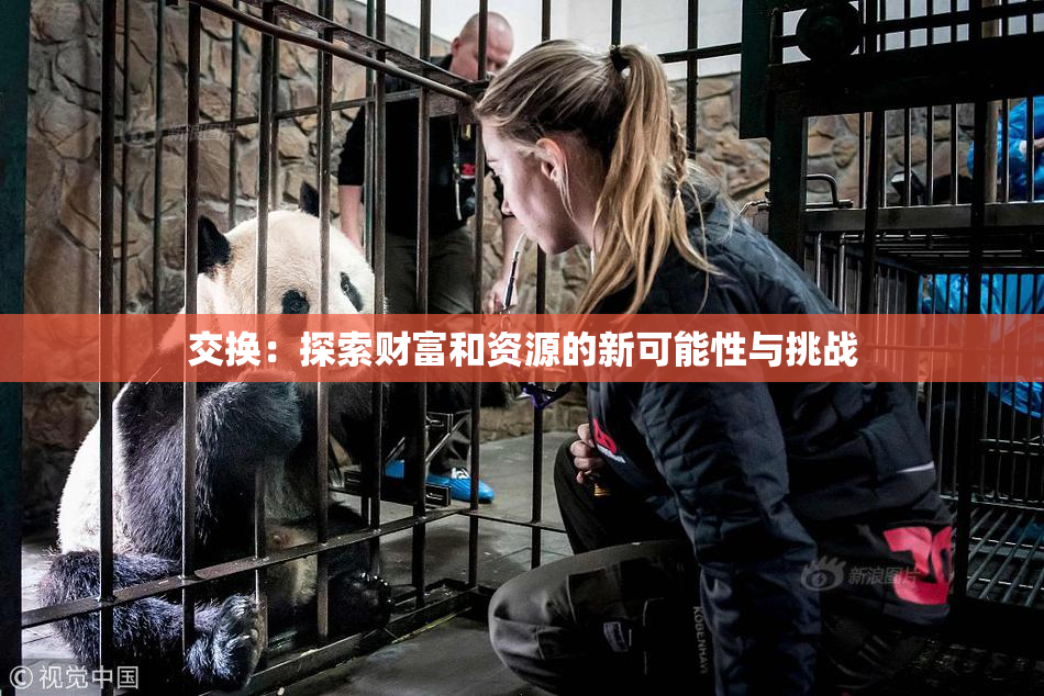 交换：探索财富和资源的新可能性与挑战