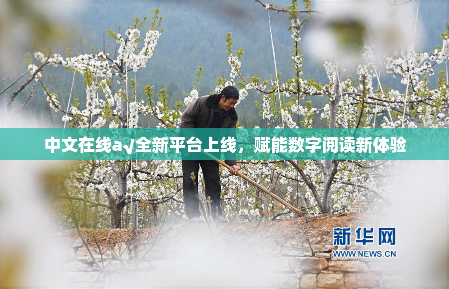 中文在线а√全新平台上线，赋能数字阅读新体验