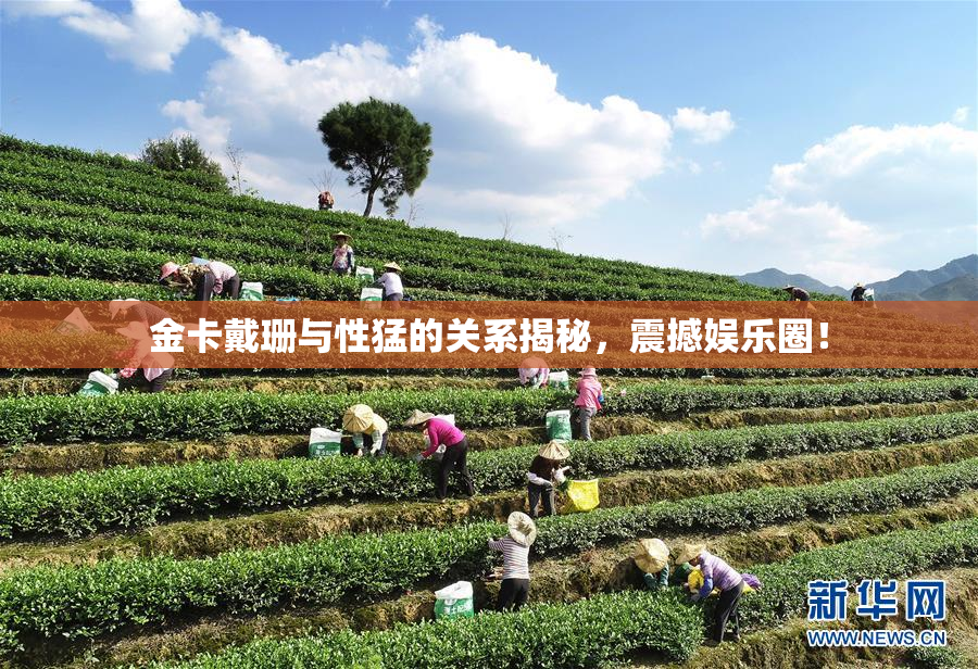 金卡戴珊与性猛的关系揭秘，震撼娱乐圈！