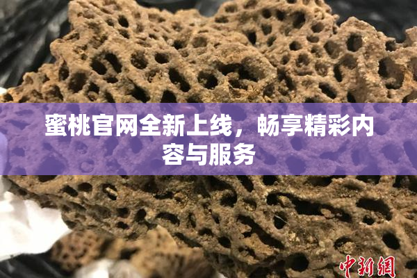 蜜桃官网全新上线，畅享精彩内容与服务