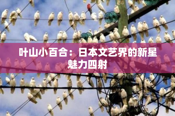 叶山小百合：日本文艺界的新星魅力四射