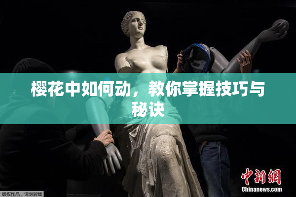 樱花中如何动，教你掌握技巧与秘诀