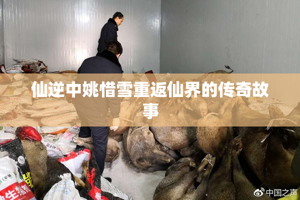 仙逆中姚惜雪重返仙界的传奇故事