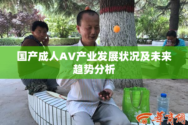 国产成人AV产业发展状况及未来趋势分析