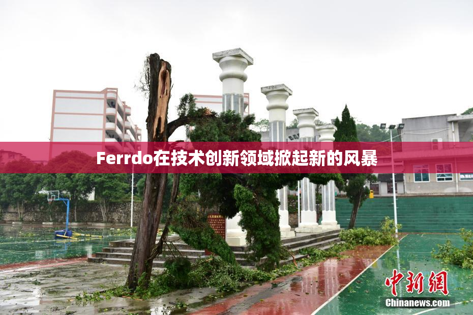 Ferrdo在技术创新领域掀起新的风暴