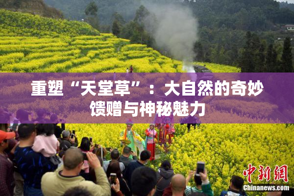重塑“天堂草”：大自然的奇妙馈赠与神秘魅力