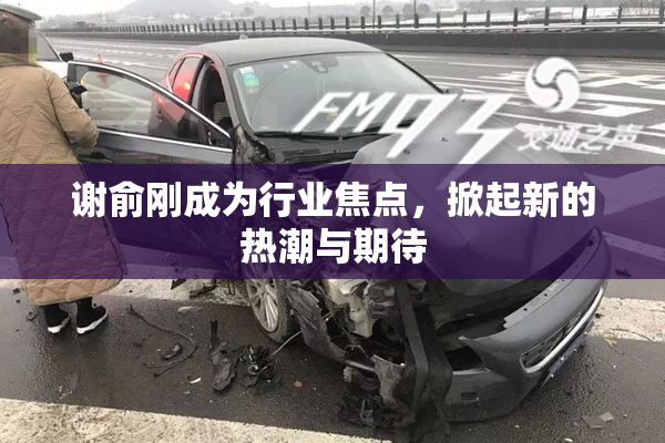 谢俞刚成为行业焦点，掀起新的热潮与期待