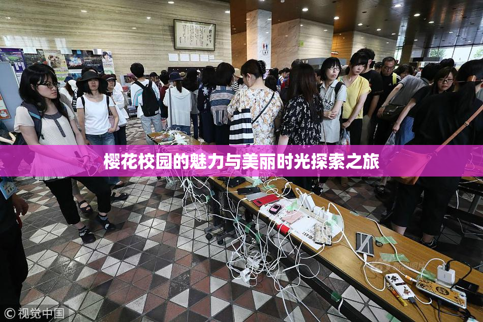 樱花校园的魅力与美丽时光探索之旅