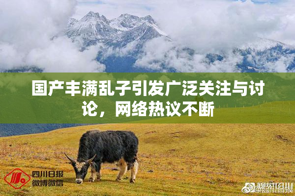 国产丰满乱子引发广泛关注与讨论，网络热议不断